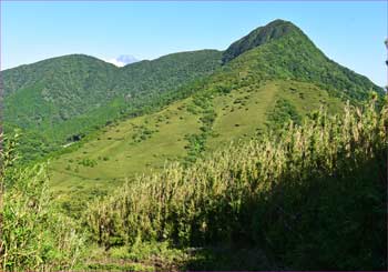 金時山