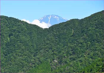 富士山