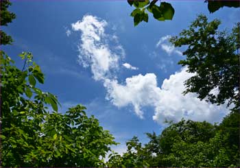 頭上に雲が