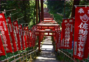 鳥居参道