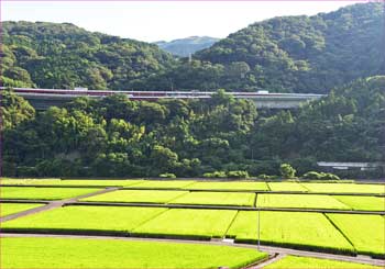 大野山見ゆ