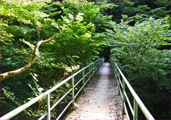 用木沢橋