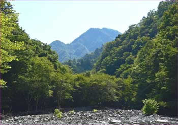 広河原で