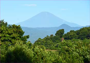 富士山