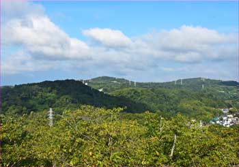 大楠山展望