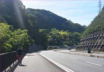 県道