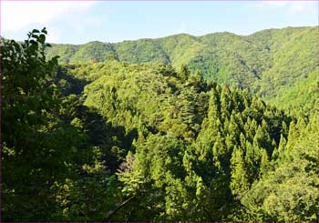 麻生山方面