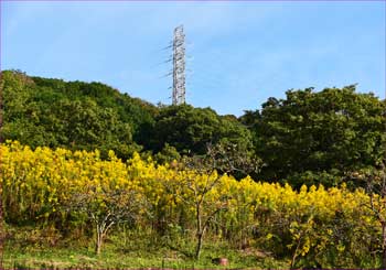 送電鉄塔