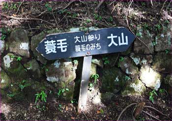 蓑毛道