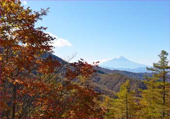 富士が