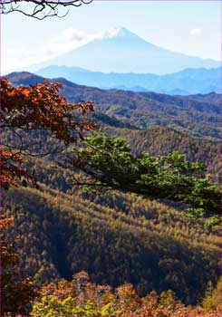 富士山