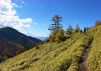 石丸峠辺り