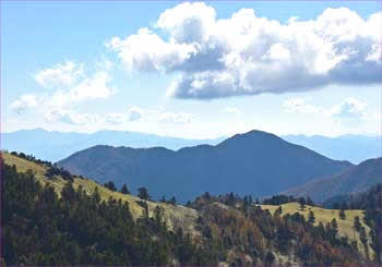 雁ヶ腹摺山