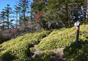 熊沢山あたり