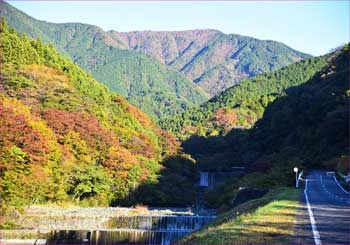 雨山