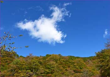 蒼空に雲が