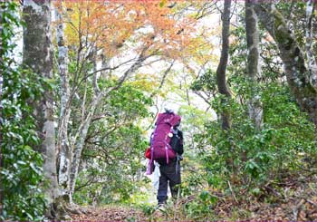 登山者