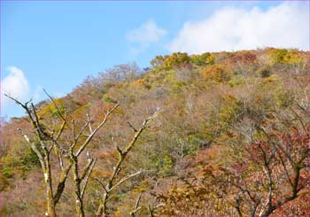 鍋割山