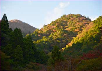 黄昏尾根