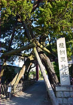 荏柄神社