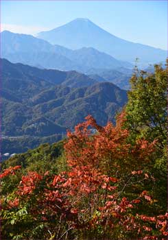 富士山