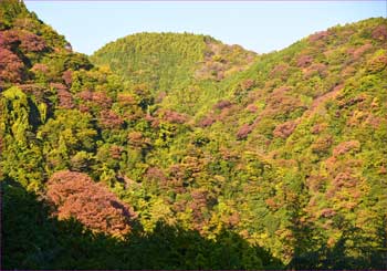 洒水ノ瀧裏手の