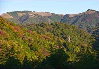 大野山