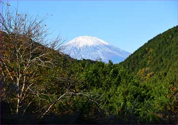 21世紀の森から富士山