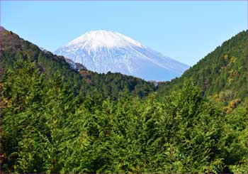 富士山