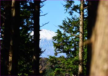 富士山