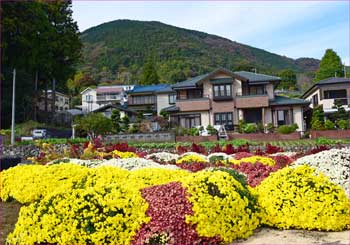 矢倉沢本村