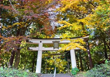 奥宮の鳥居