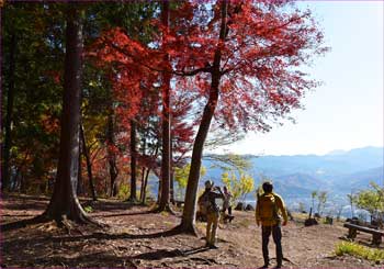 山頂で