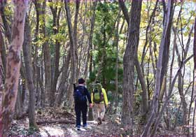 山道へ