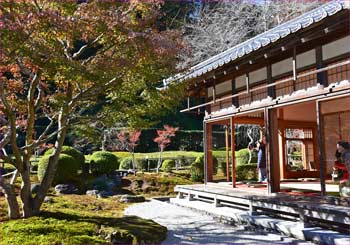 書院と庭園