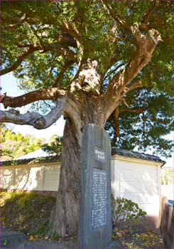 太田道灌屋敷碑