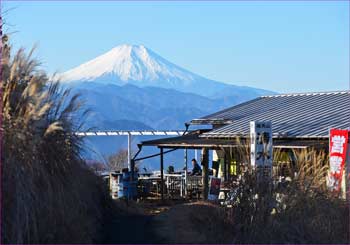 陣馬山の茶屋