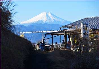 富士山