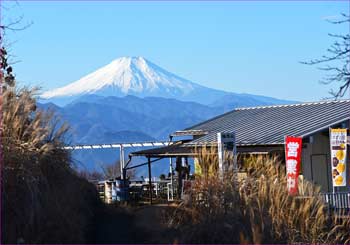 富士山