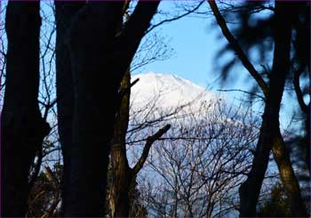 富士山