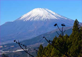 富士山