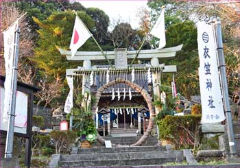 衣笠神社