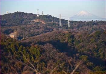 大楠山