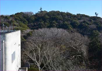 大楠山