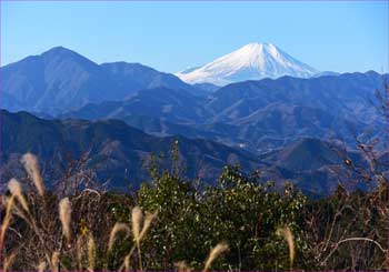 富士山