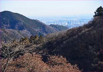 峠の展望