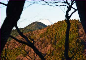 山の端に富士が