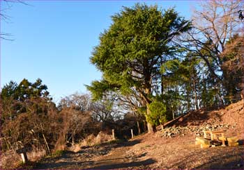 大倉高原山荘跡地