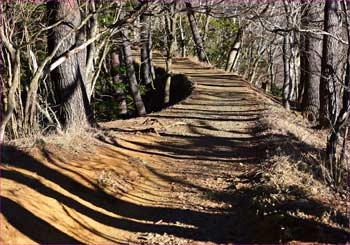 水平道