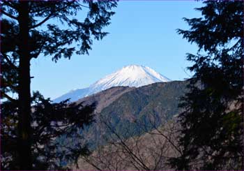 富士山